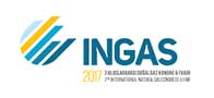 INGAS 2017
